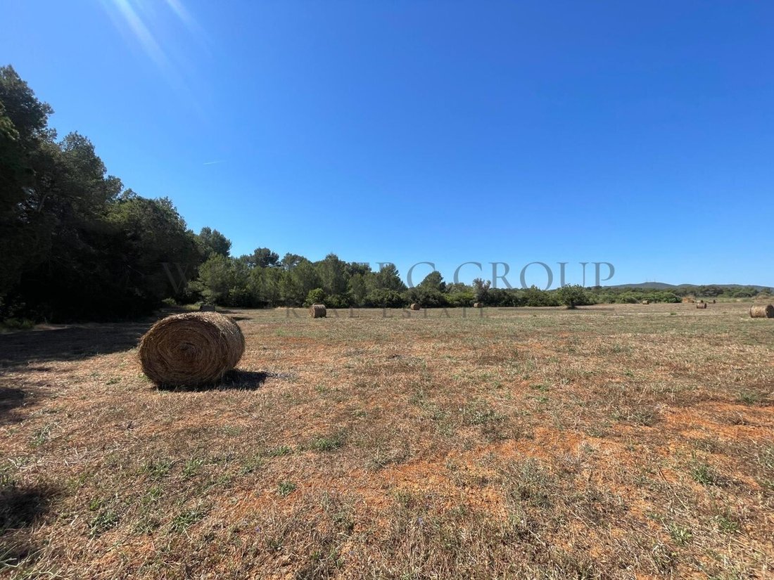 Land in Sant Joan de Labritja, Balearic Islands, Spain 1 - 15827991