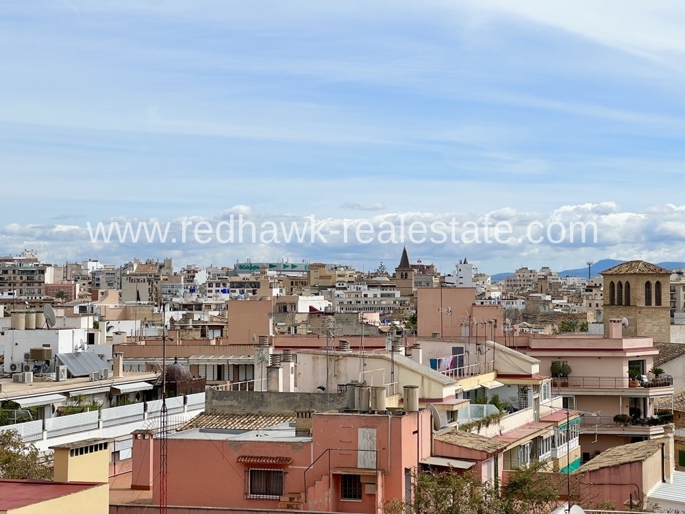 Apartment in Palma, Balearic Islands, Spain 5 - 15708865