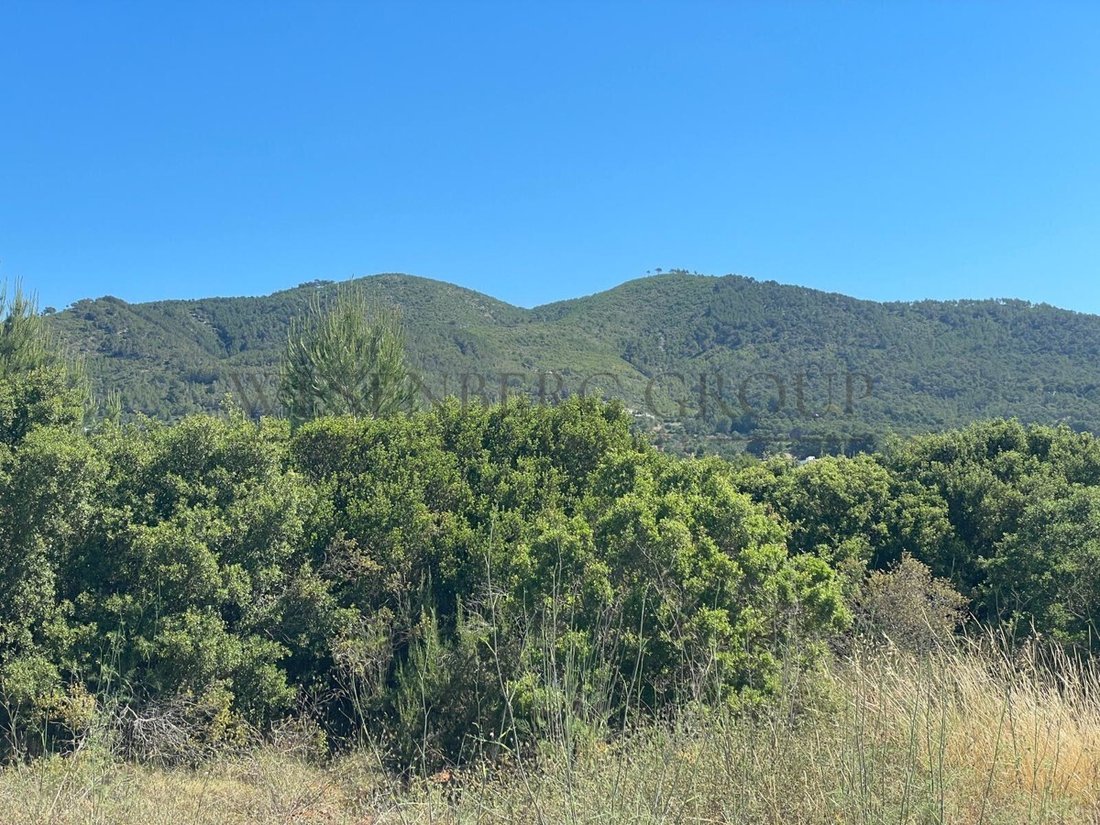 Land in Sant Joan de Labritja, Balearic Islands, Spain 2 - 15827991
