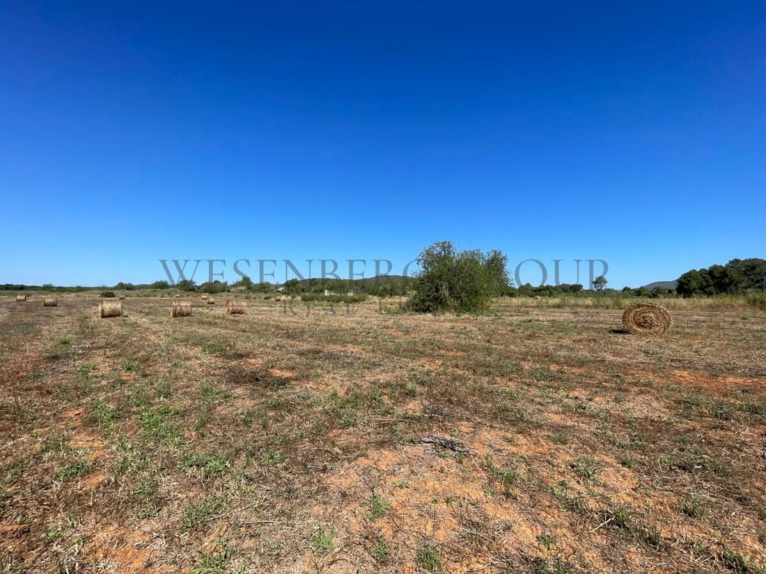 Land in Sant Joan de Labritja, Balearic Islands, Spain 3 - 15827991
