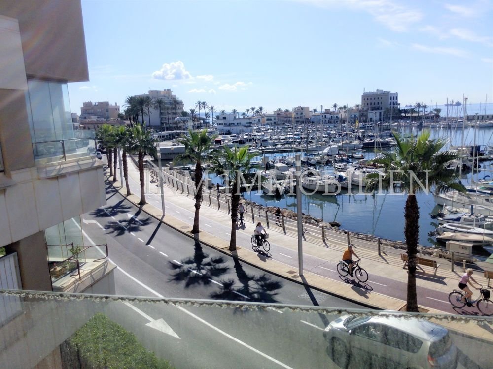 Apartment in Palma, Balearic Islands, Spain 3 - 15827830