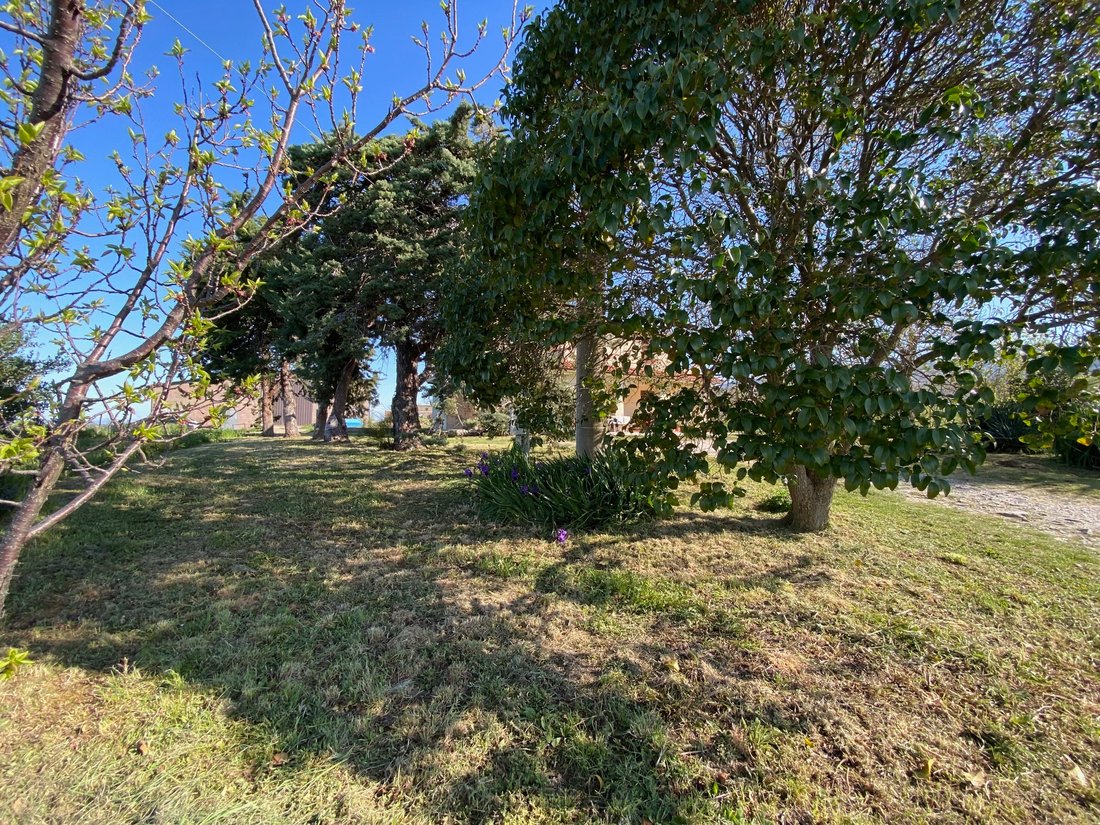 Country House in Scansano, Tuscany, Italy 3 - 15828868