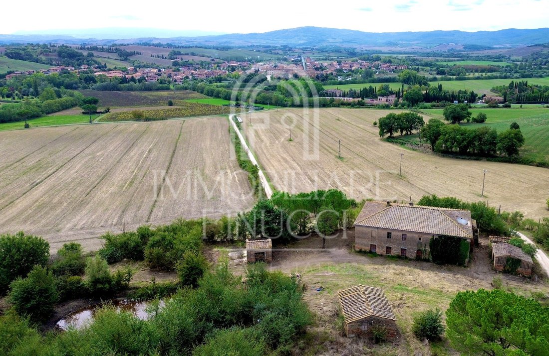Country House in Buonconvento, Tuscany, Italy 4 - 15828855