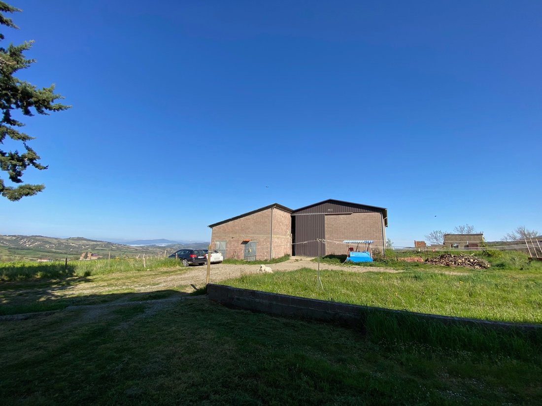 Country House in Scansano, Tuscany, Italy 5 - 15828868