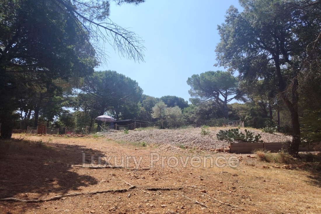 Villa in Rians, Provence-Alpes-Côte d'Azur, France 5 - 15828425