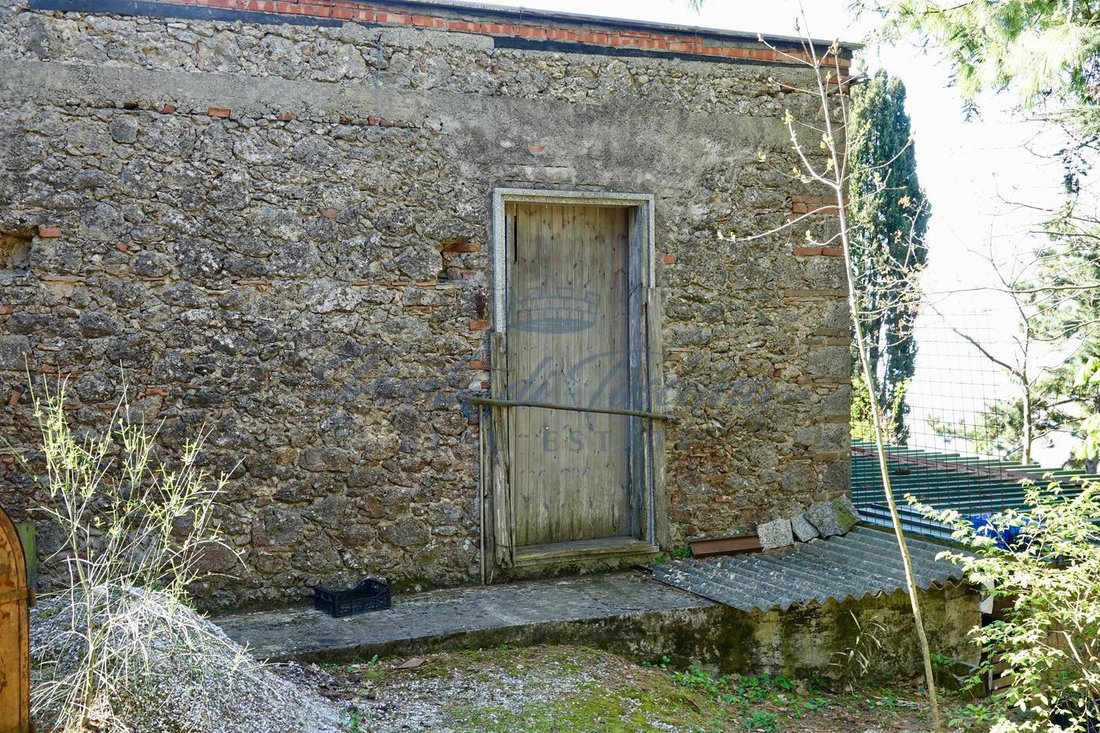 Maisons de campagne à Pietrasanta, Toscane, Italie 4 - 15828887