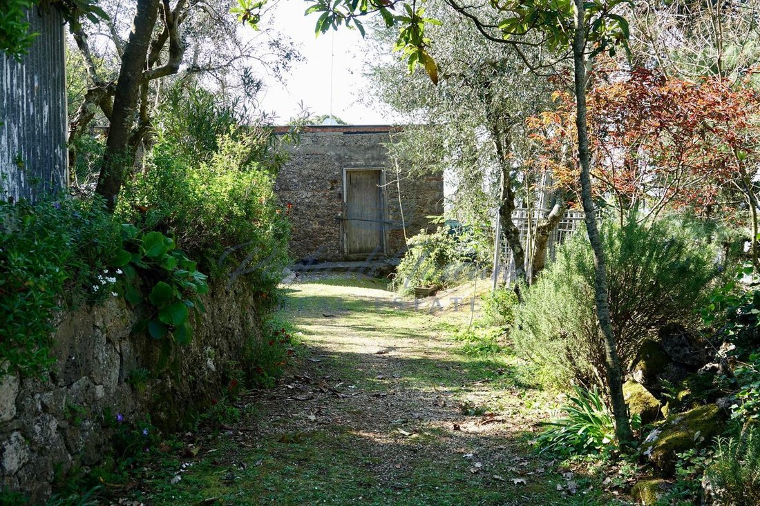 Maisons de campagne à Pietrasanta, Toscane, Italie 3 - 15828887