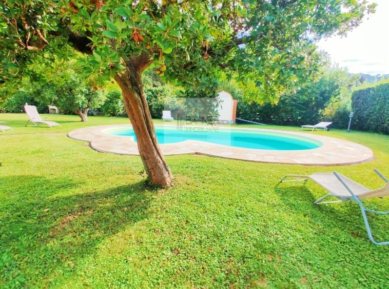 Villa in Camaiore, Tuscany, Italy 5 - 15830456