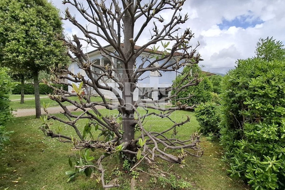 Villa in Historic Center, Lucca, Tuscany 4 - 15828842