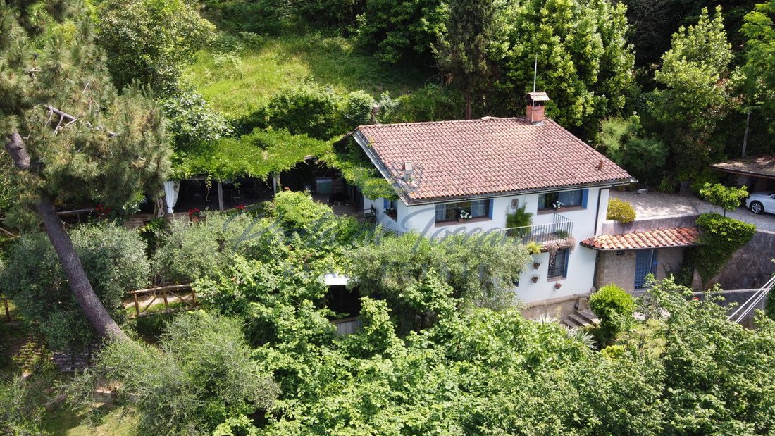 Country House in Pietrasanta, Tuscany, Italy 2 - 15828686