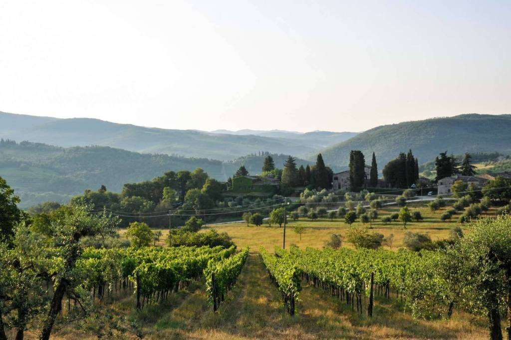 Maisons de campagne à Castellina in Chianti, Toscane, Italie 5 - 15828581