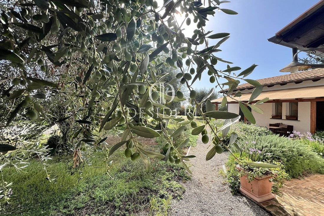 Country House in Capalbio, Tuscany, Italy 2 - 15828710