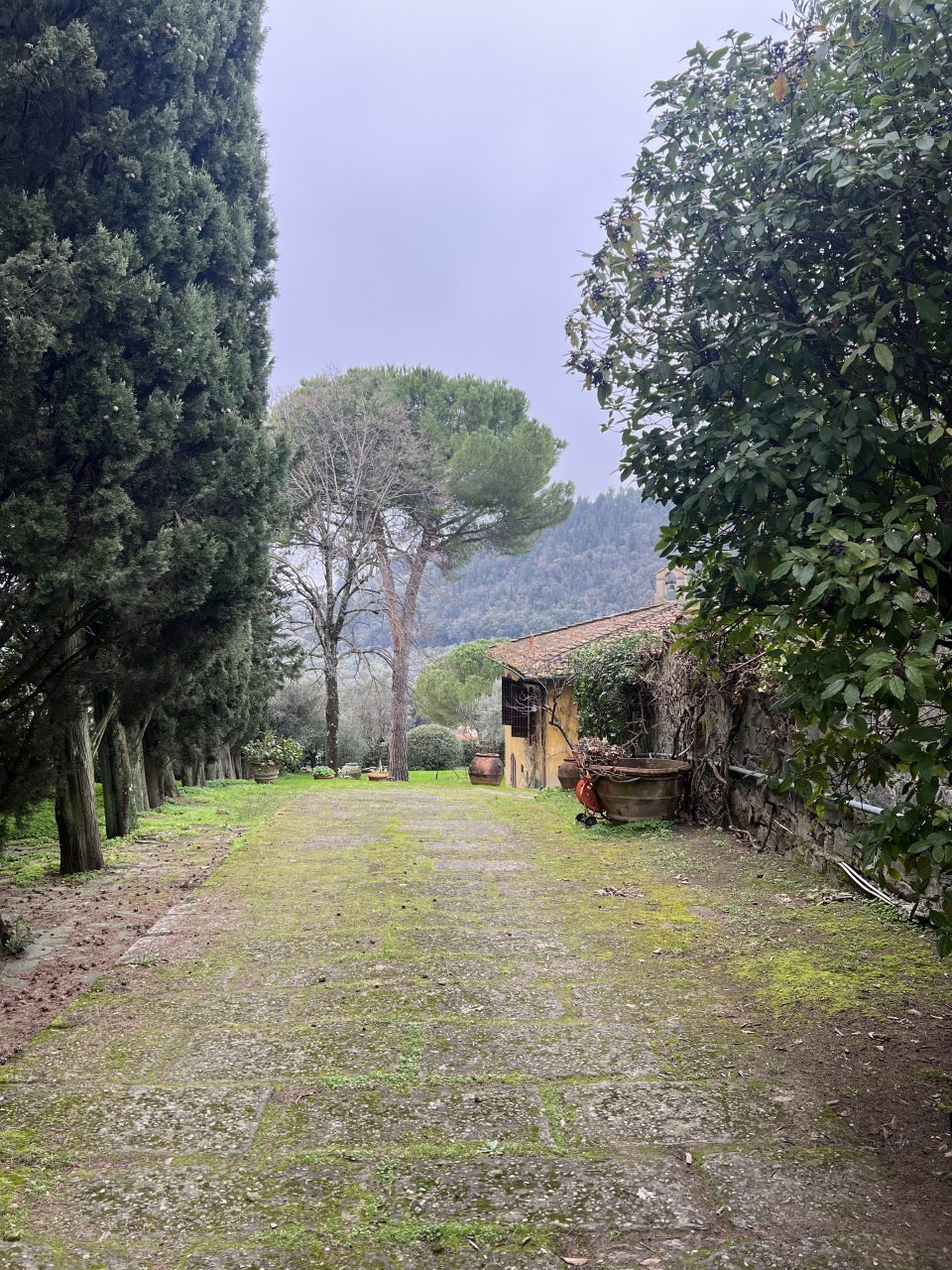 Villa in Center, Florence, Tuscany 2 - 15829323