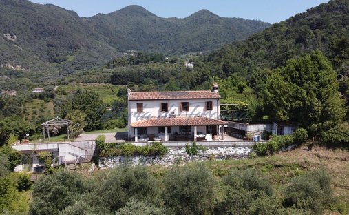 Country House in Pietrasanta, Tuscany, Italy 1