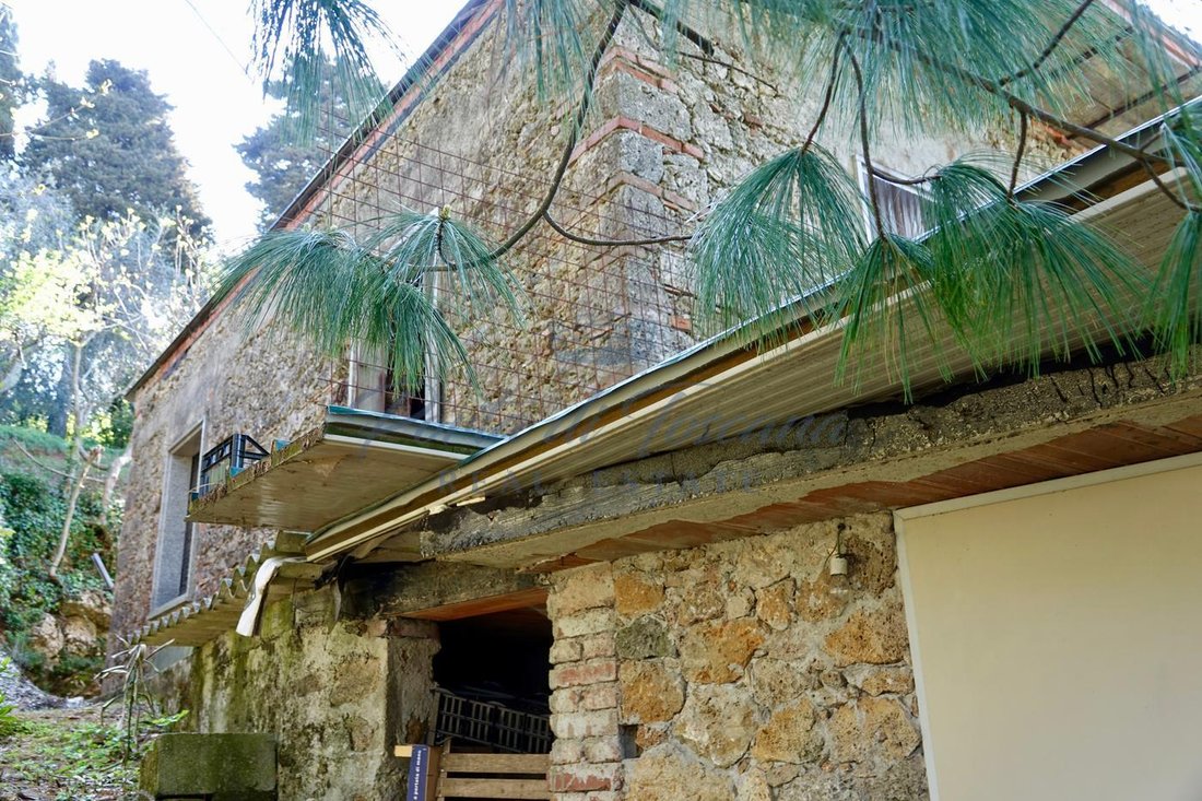 Maisons de campagne à Pietrasanta, Toscane, Italie 5 - 15828887