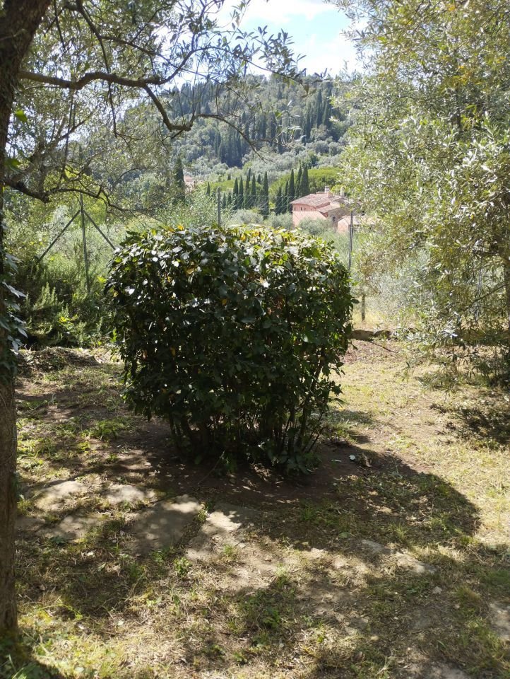Apartment in Settignano, Florence, Tuscany 5 - 15829218