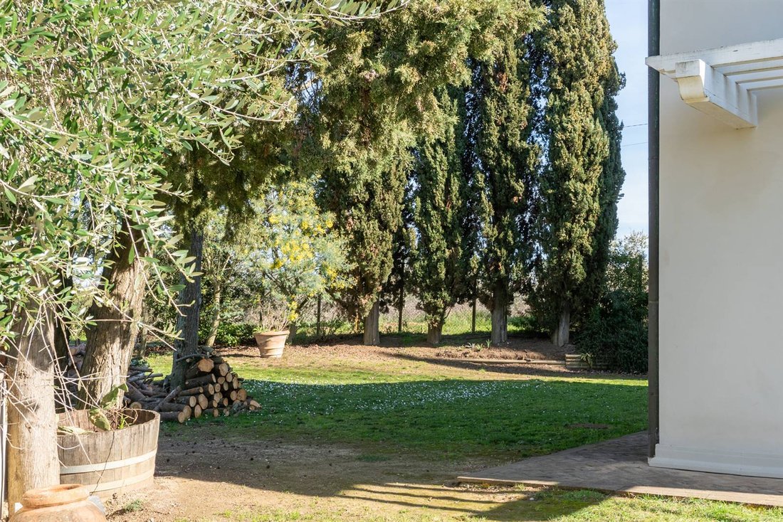 Villa in Casciana Terme Lari, Tuscany, Italy 5 - 15828797