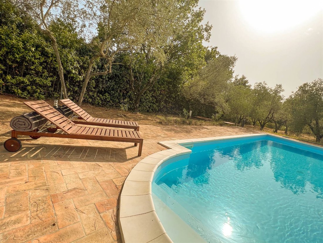Country House in Guardistallo, Tuscany, Italy 5 - 15829308