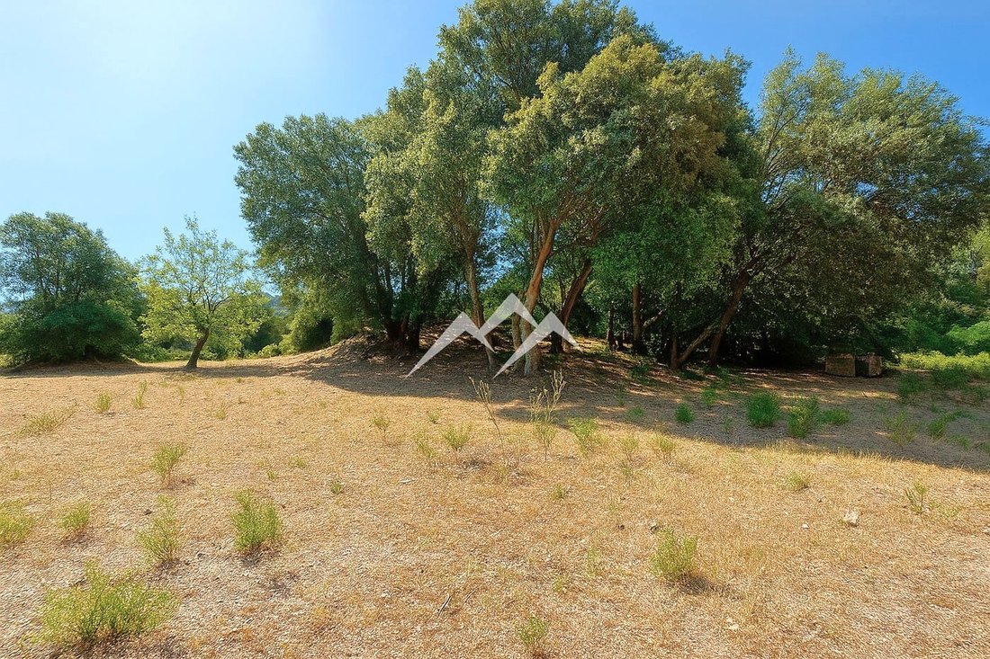Finca in Arta, Balearic Islands, Spain 5 - 15813672