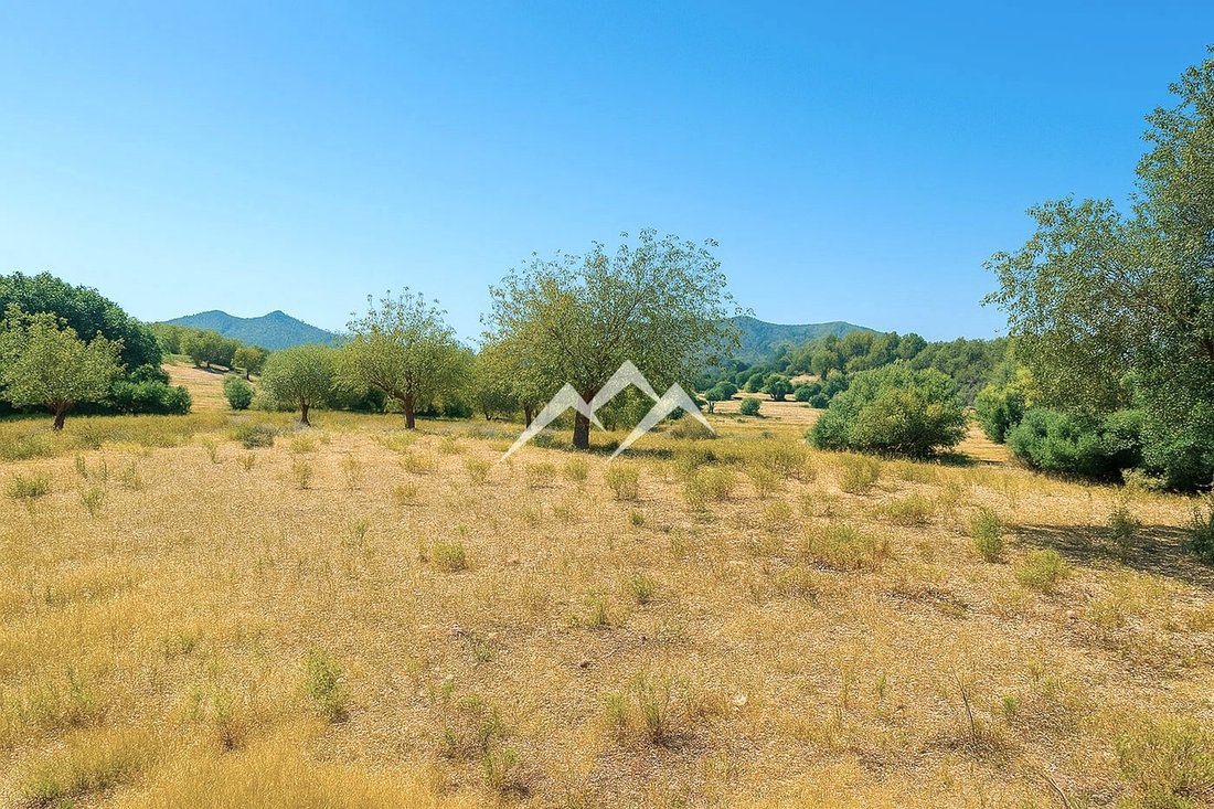 Finca in Arta, Balearic Islands, Spain 3 - 15813672