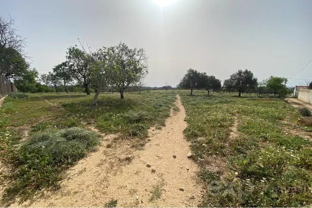 Land in Quelfes, Algarve, Portugal 3 - 15830982