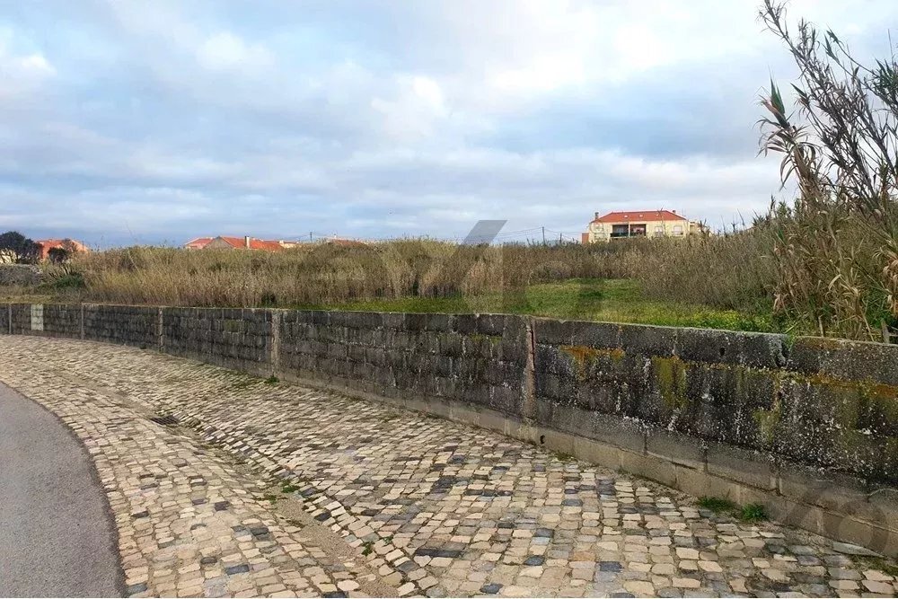 Land in Peniche, Leiria, Portugal 1 - 15831065