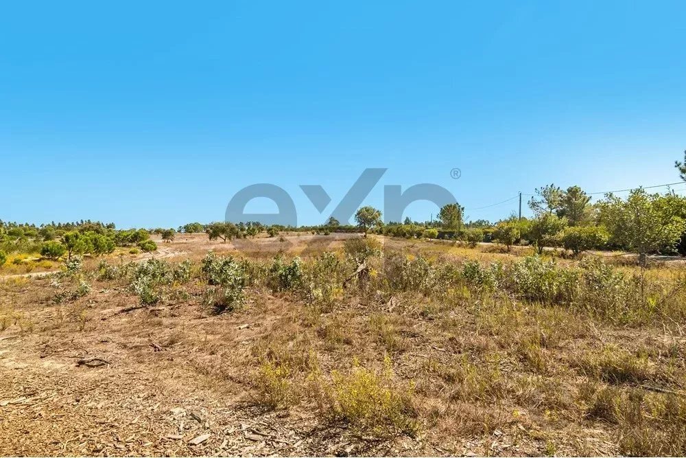 Land in Boavista dos Pinheiros, Beja District, Portugal 4 - 15831155