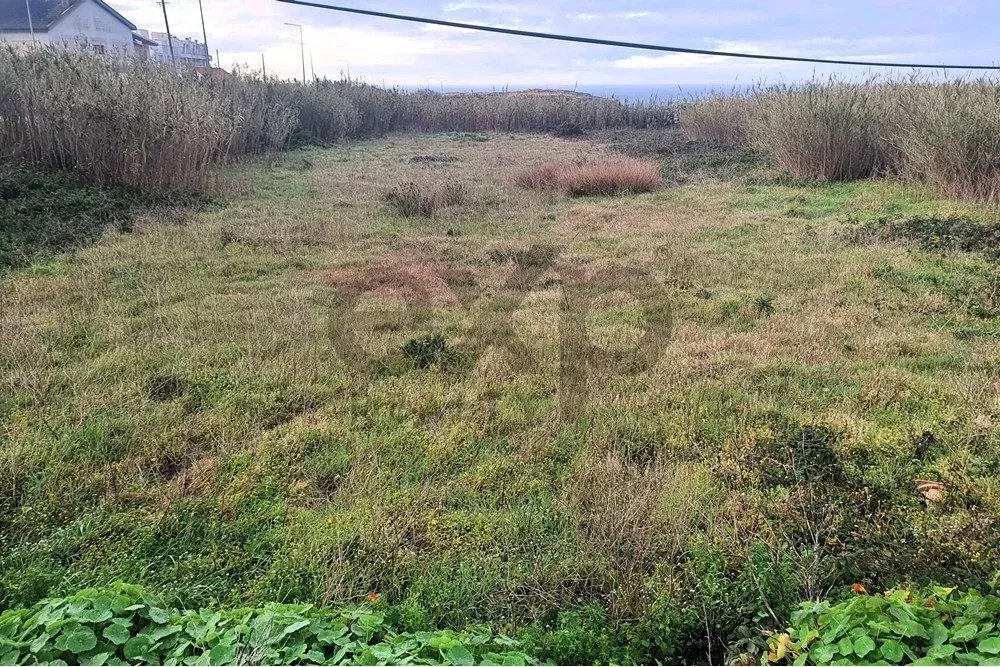 Land in Peniche, Leiria, Portugal 4 - 15831065
