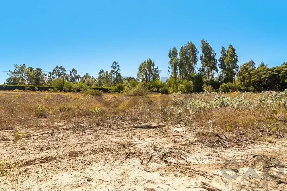 Land in Boavista dos Pinheiros, Beja District, Portugal 5 - 15831155