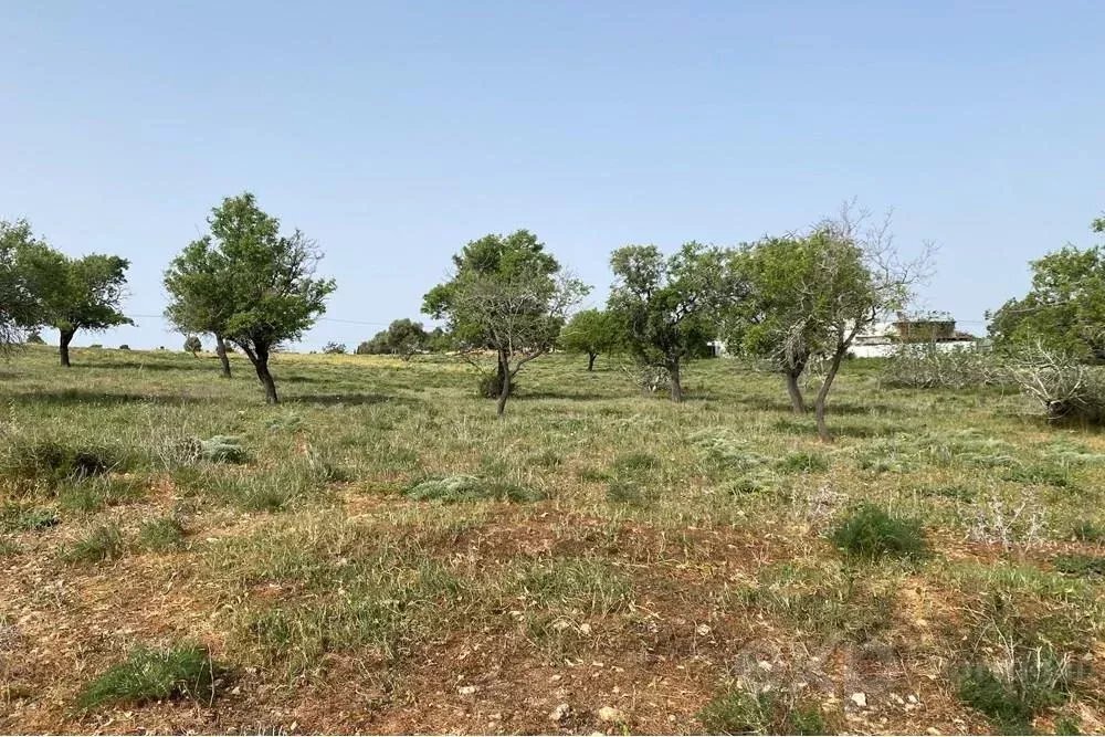 Land in Quelfes, Algarve, Portugal 1 - 15830982