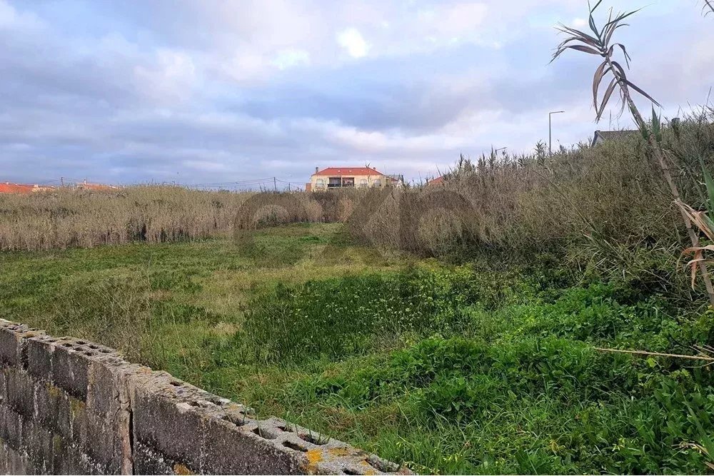Land in Peniche, Leiria, Portugal 3 - 15831065