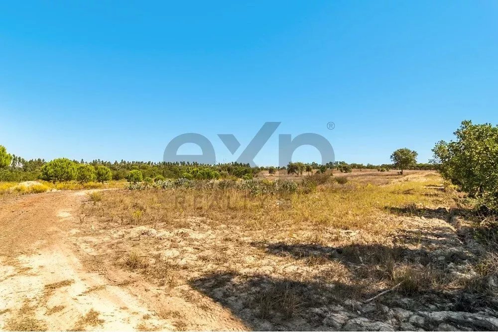 Land in Boavista dos Pinheiros, Beja District, Portugal 3 - 15831155