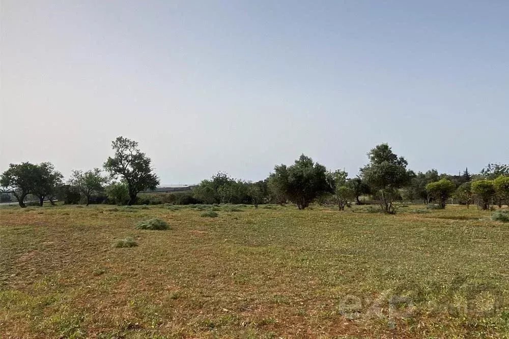 Land in Quelfes, Algarve, Portugal 5 - 15830982