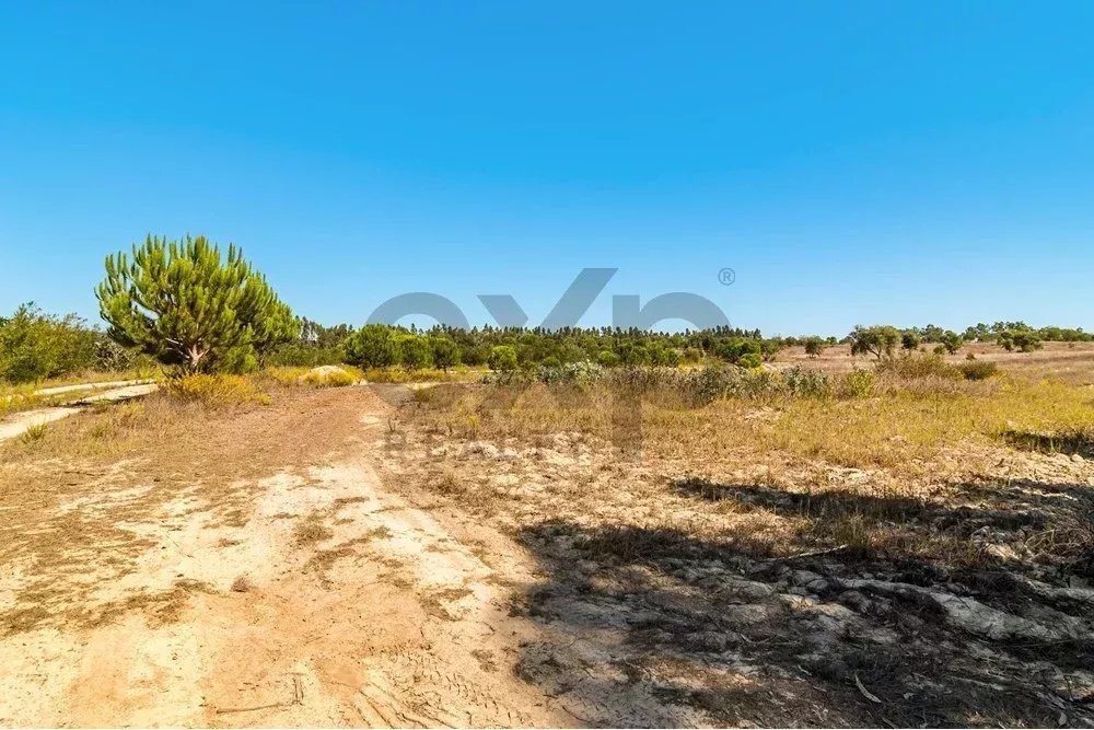 Land in Boavista dos Pinheiros, Beja District, Portugal 2 - 15831155