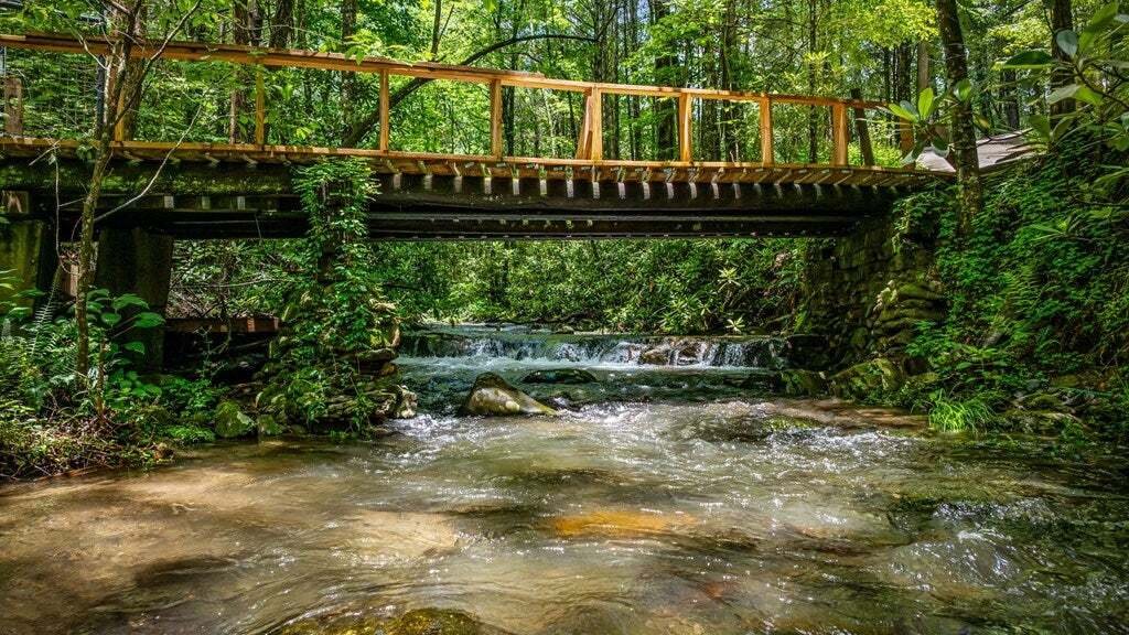 House in Ellijay, Georgia, United States 4 - 15831774