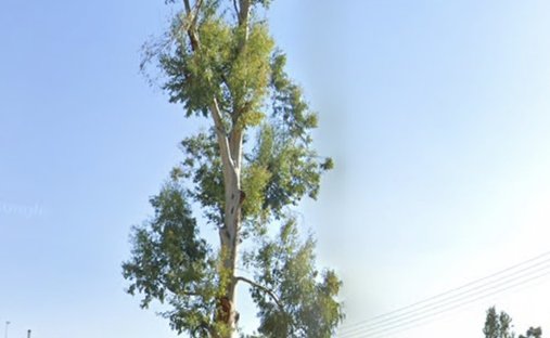 Land in South Athens, Attica, Greece 1