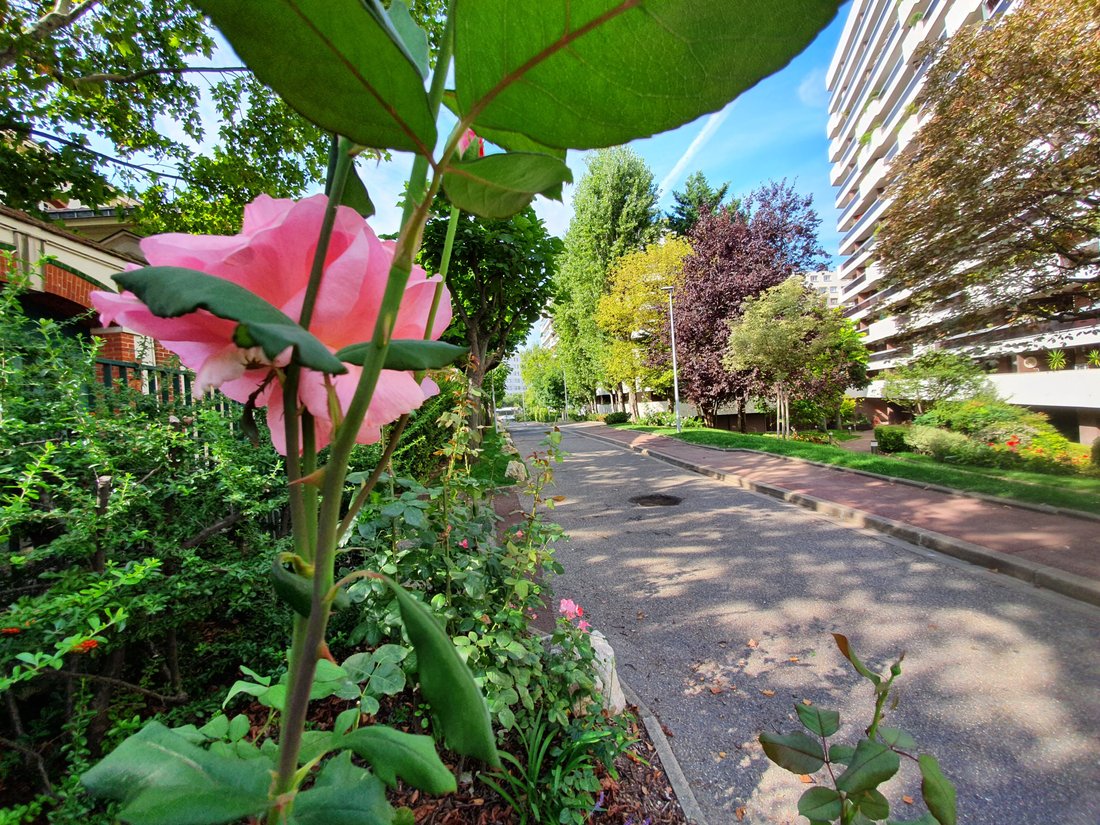 Apartment in Bois de Vincennes, Paris 12e Arrondissement, Paris 3 - 15835035