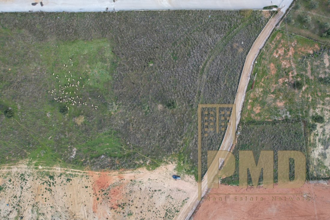 Land in Kropia, Attica, Greece 1 - 15832613