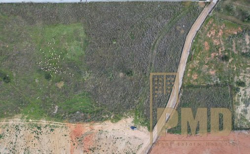 Land in Kropia, Attica, Greece 1