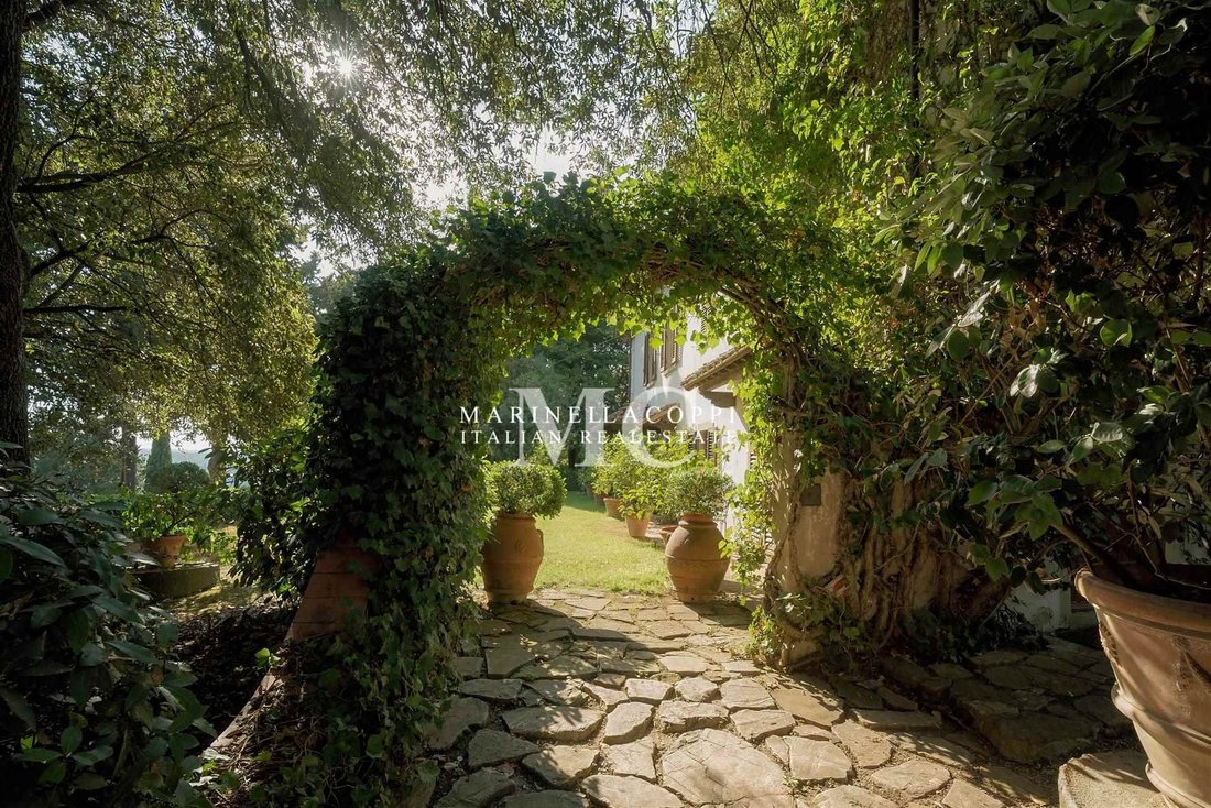 Estate in Center, Greve in Chianti, Tuscany 5 - 15831422