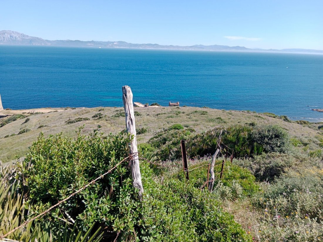 Land in Tarifa, Andalusia, Spain 3 - 15723137