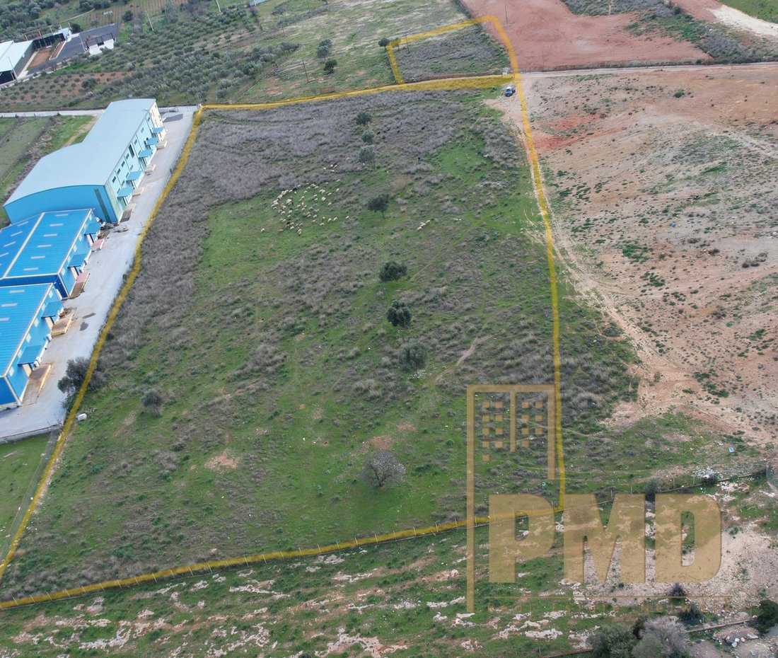 Land in Kropia, Attica, Greece 4 - 15832613