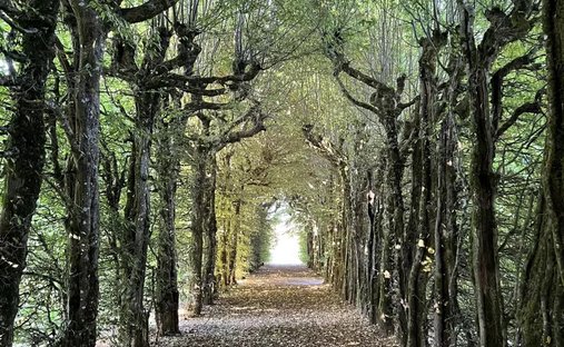 25 Min From Puy Du Fou 19th Century Chateau Fully Renovated Set In 5.69 Hectares Of Parkland