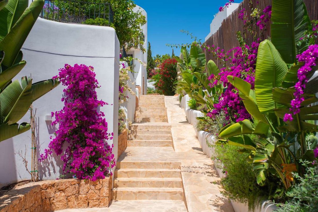 Villa a Ibiza, Isole Baleari, Spagna 4 - 15831275