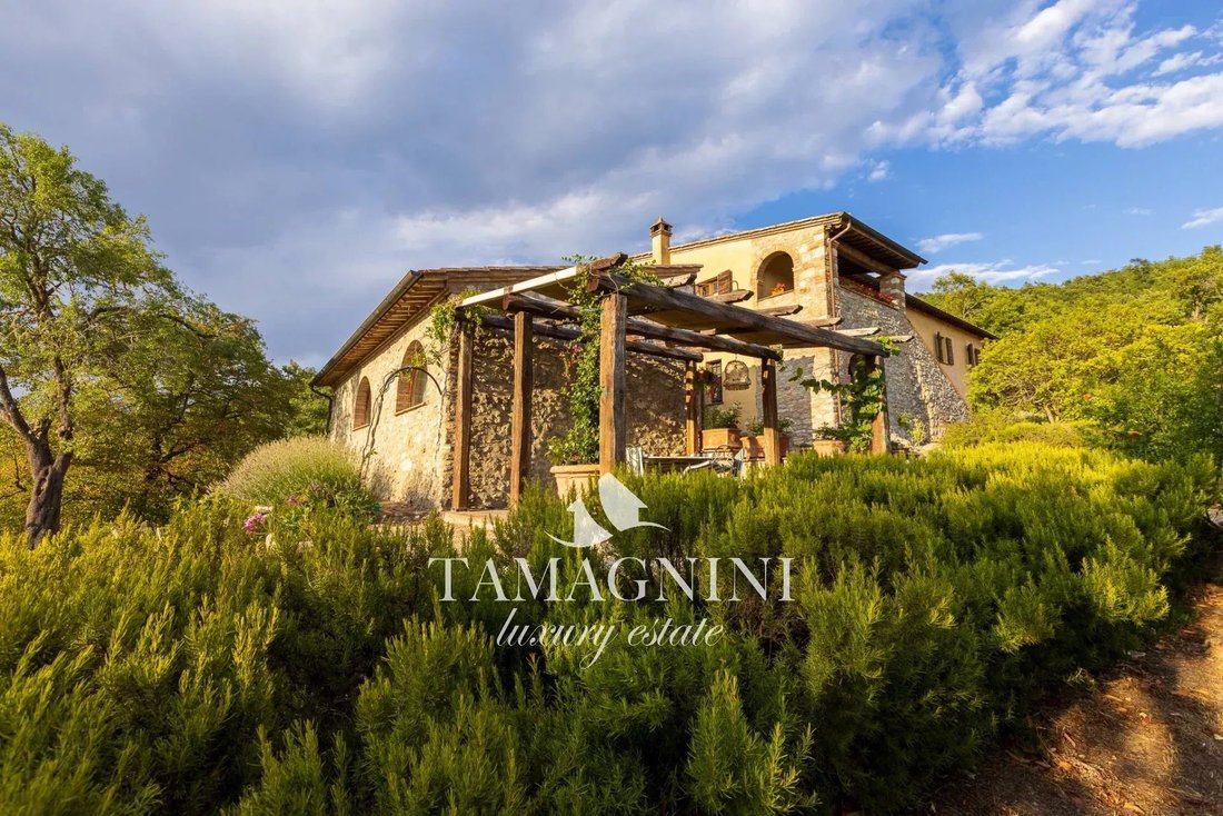 House in Sarteano, Tuscany, Italy 1 - 15834079