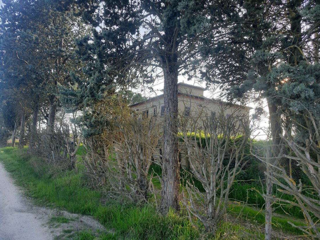 Villa in Lucignano, Tuscany, Italy 4 - 15837066