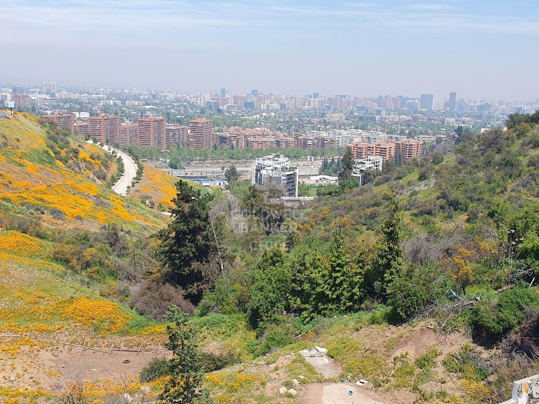 Land in Vitacura, Santiago Metropolitan Region, Chile 1 - 15837113