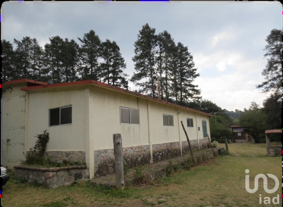Azienda agricola in San Miguel Ajusco, Messico 4 - 15837419