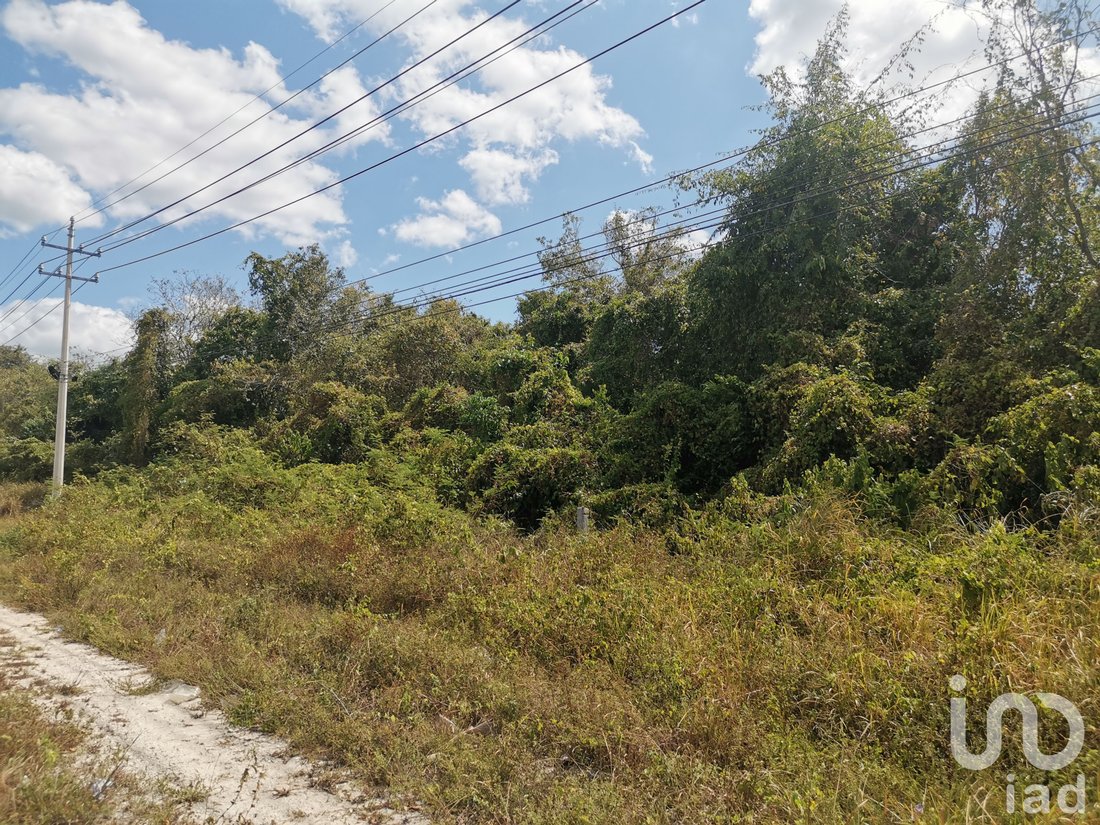 Land in La Isla, Quintana Roo, Mexico 3 - 15837641