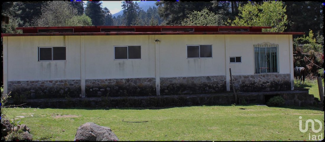 Azienda agricola in San Miguel Ajusco, Messico 3 - 15837419